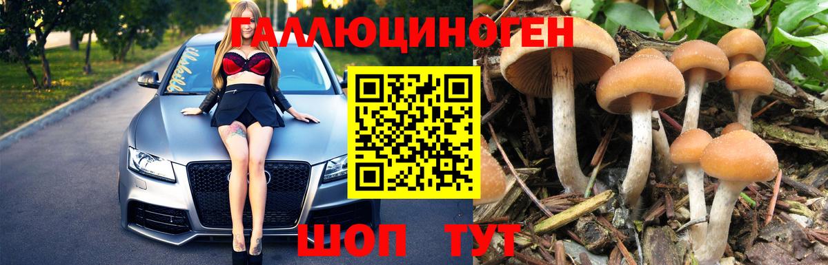 Белогорск  Галлюциногенные грибы мухоморы  Вход с VPN 